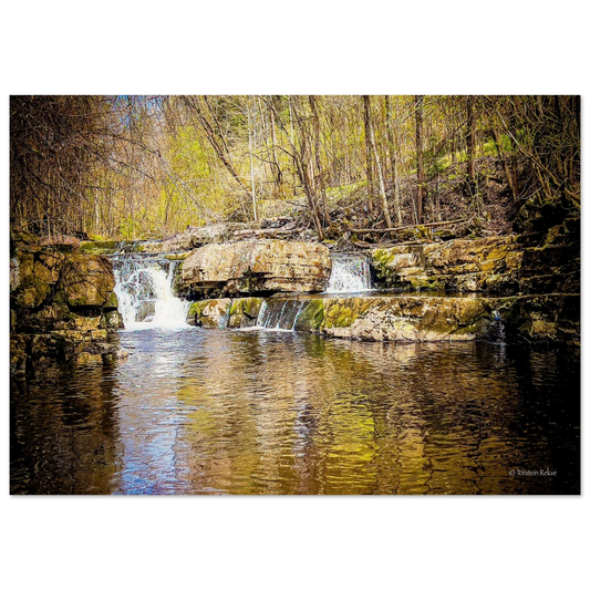 93f2ad69-dfb7-46af-8ec8-f7605044dc6d