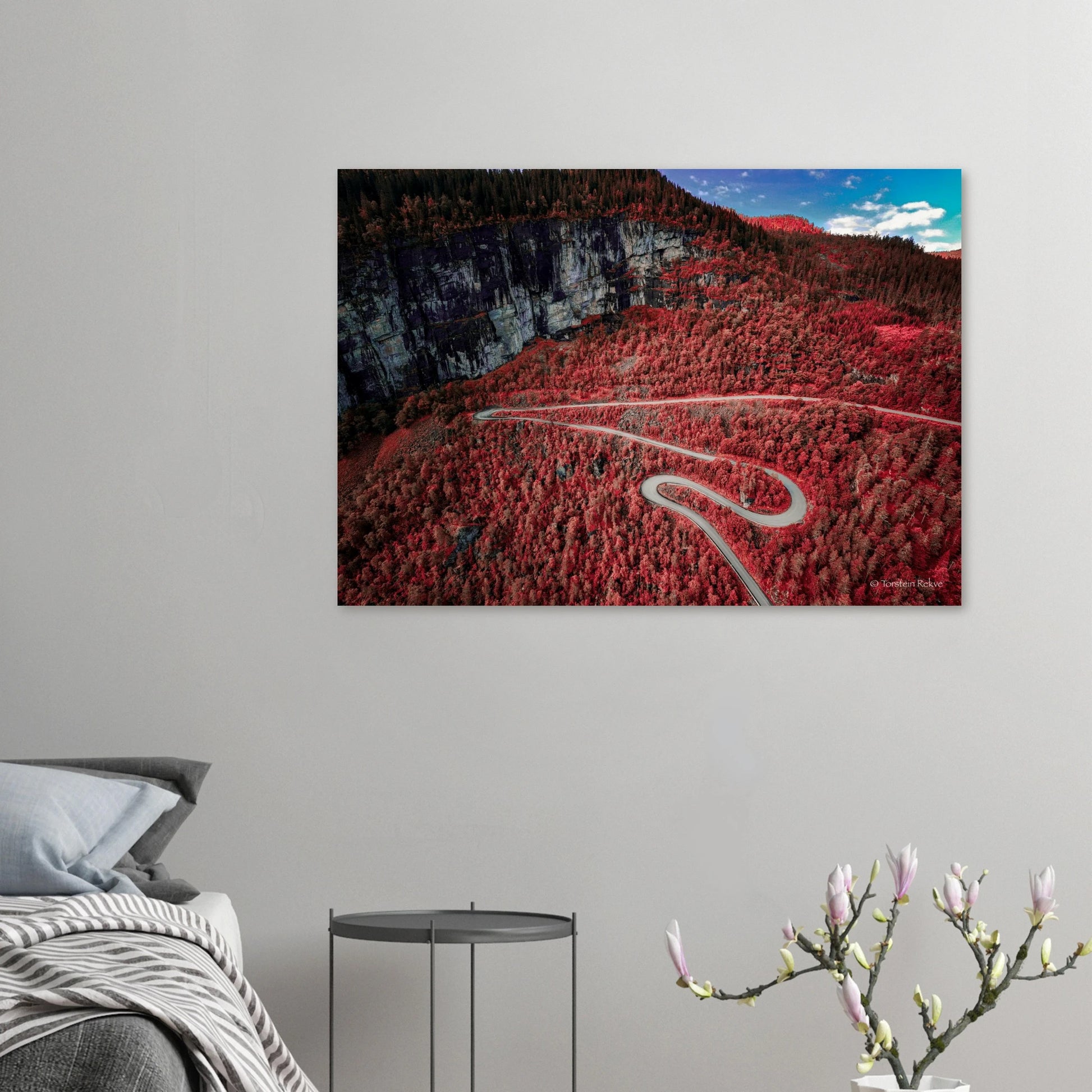 01ba16ae-55ba-454a-9c25-15aaf97f6c07