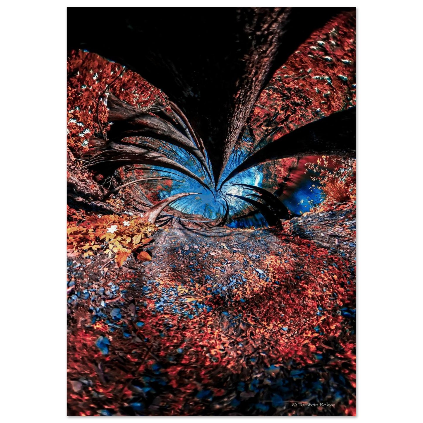 04e75578-bb7c-4186-99fb-8adca7e5288a