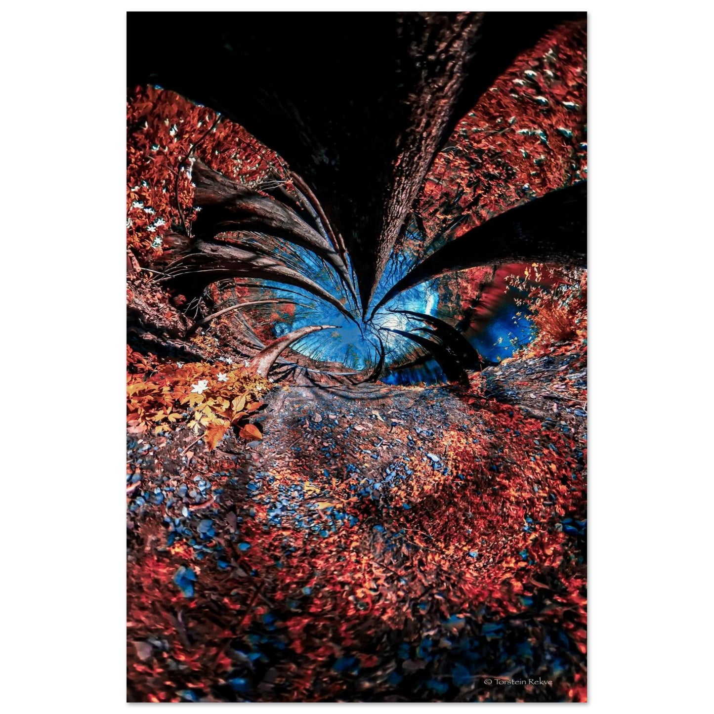 0c3eb81c-98d6-4f77-aac5-1d032e2bce4e