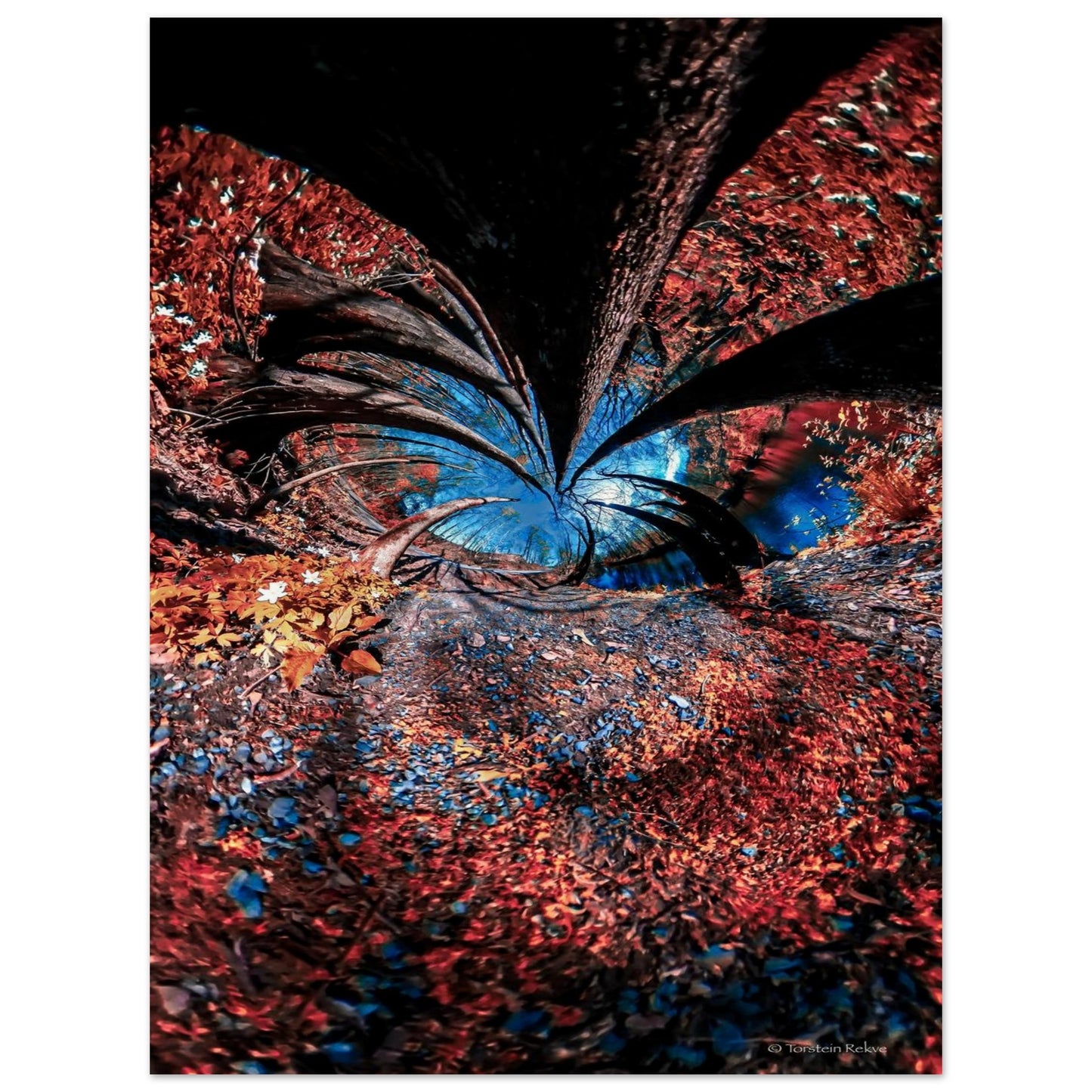 193a5e87-b662-4b07-912c-ae5e5fb21713