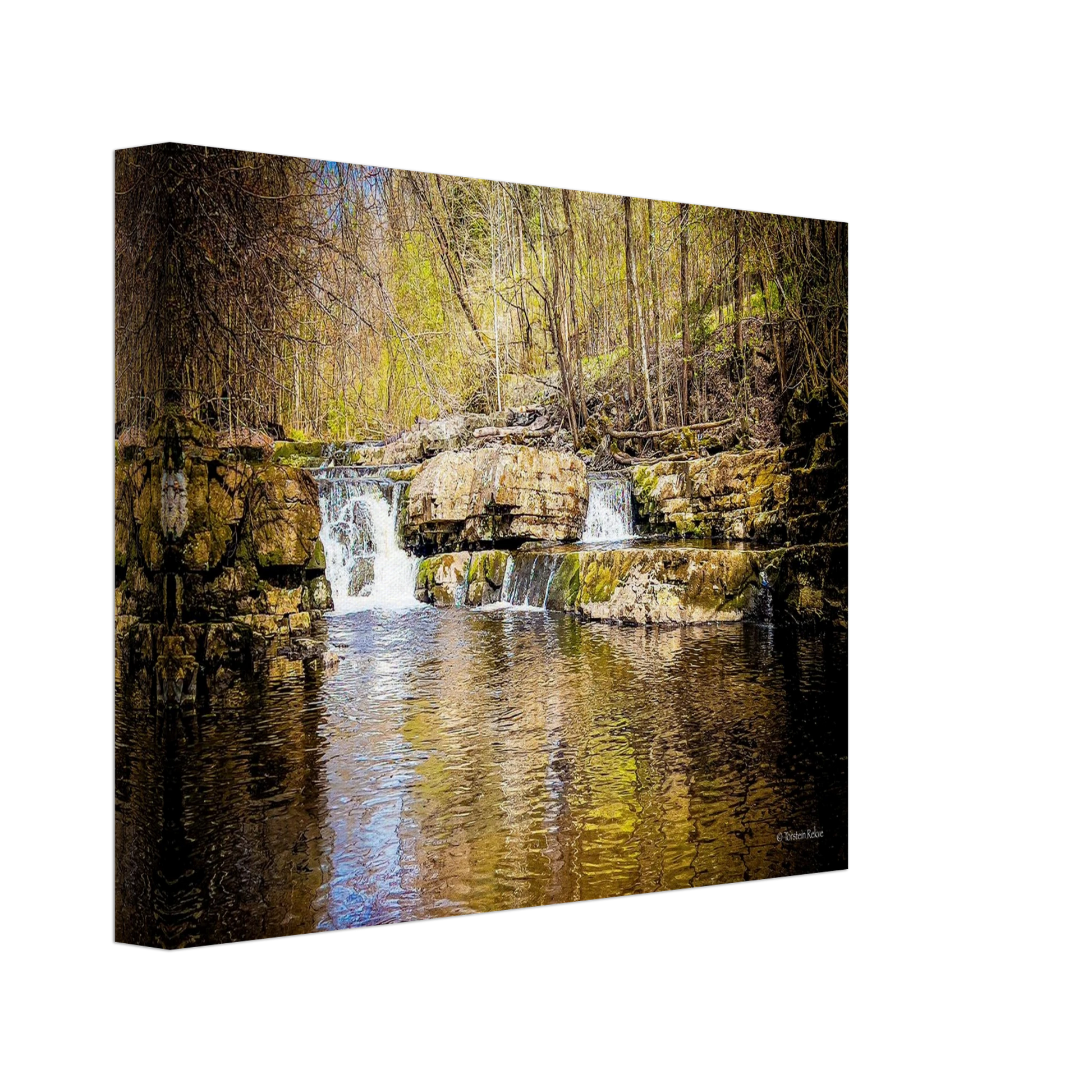 1bd4c859-68a7-472c-90a1-8e821d3f22c9