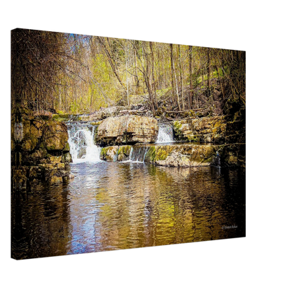 2a1f915a-fcbe-4c39-867d-3ea60b7e1367