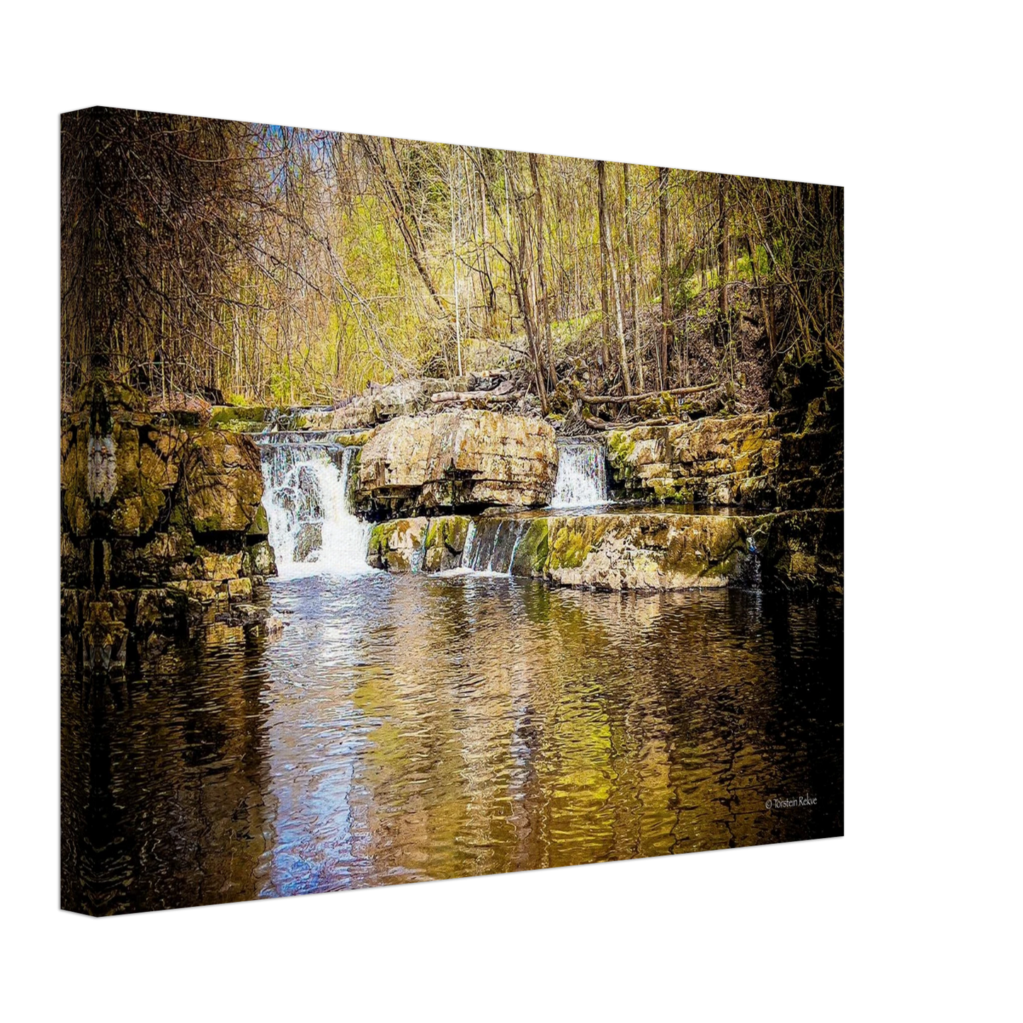 2b55ced5-e09d-4a82-934c-b9ff0da74b5b