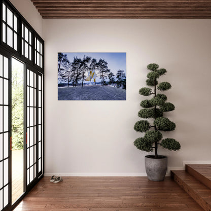 2e8b75ba-7892-4d4d-aa83-24584697989d