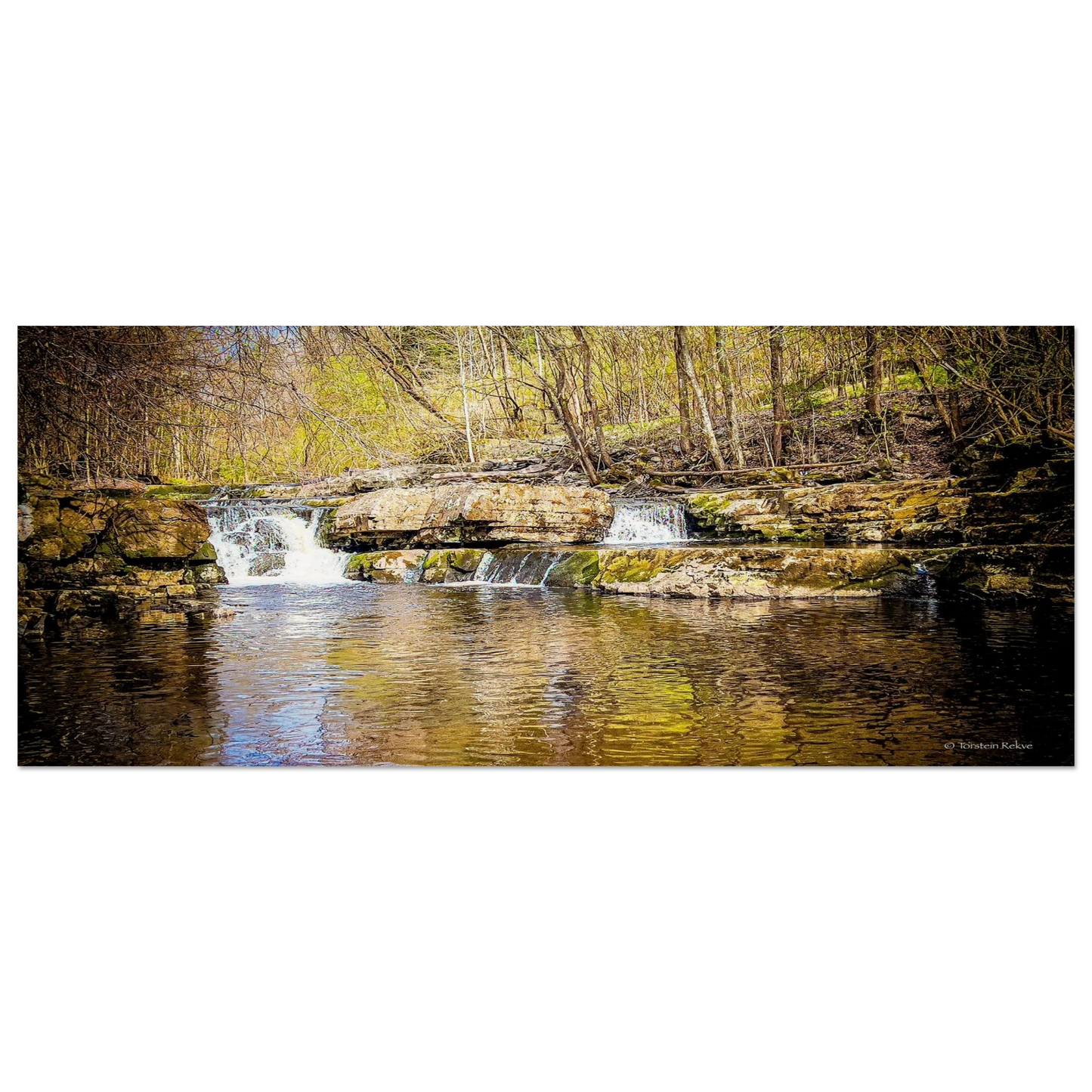 3e9cd67e-349c-4ae2-85c4-2fe756c6ebcb