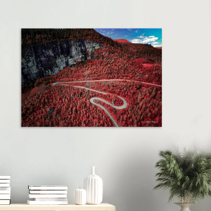 440d1d77-b2b0-4270-b11b-79c6dac51ef6