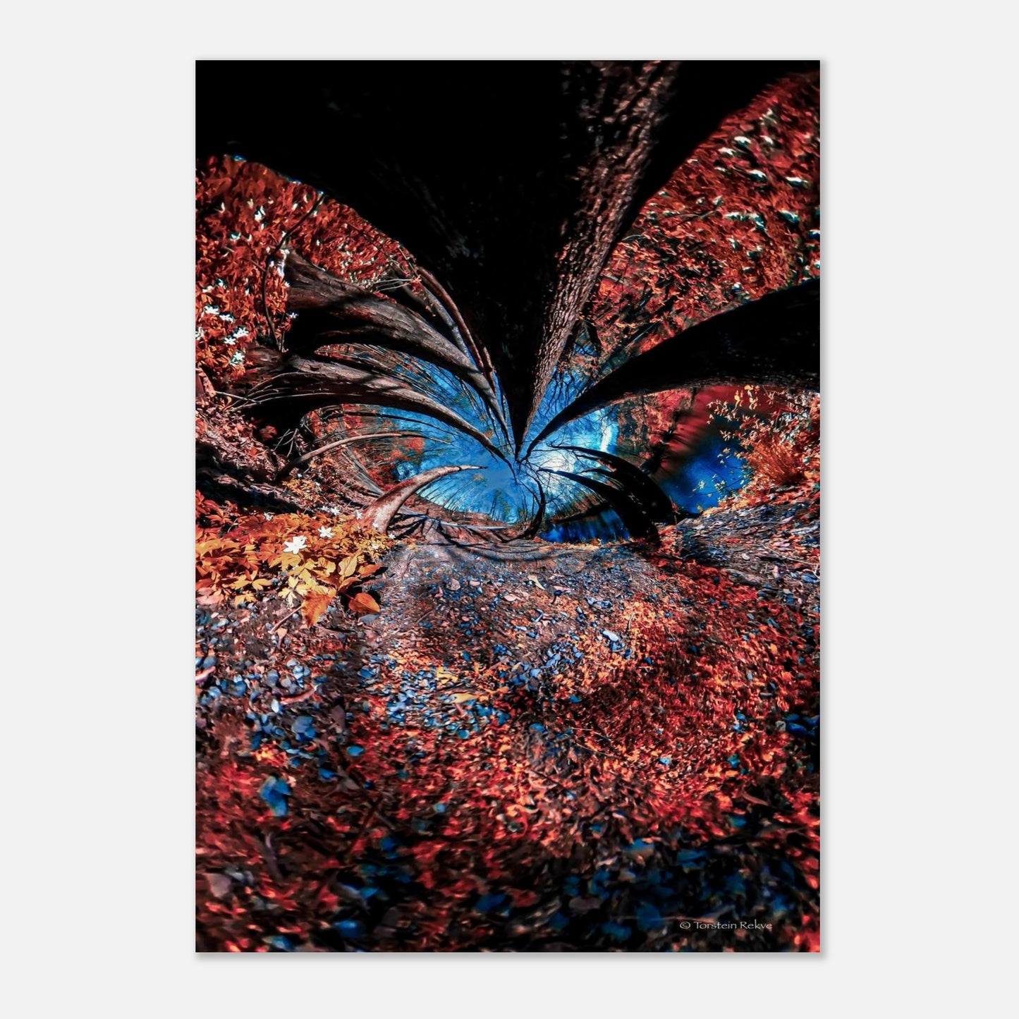 47a598d2-9a6c-481d-80f2-5d2923278bf0