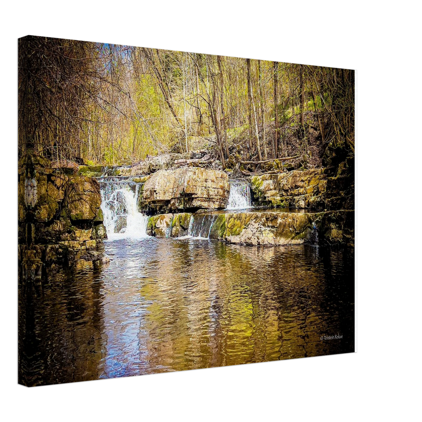 4801254f-b03e-40f0-8753-a0368a7f32a2