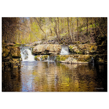 4e0ce4d3-775d-4eb5-b8bd-a17f8cdc11d1