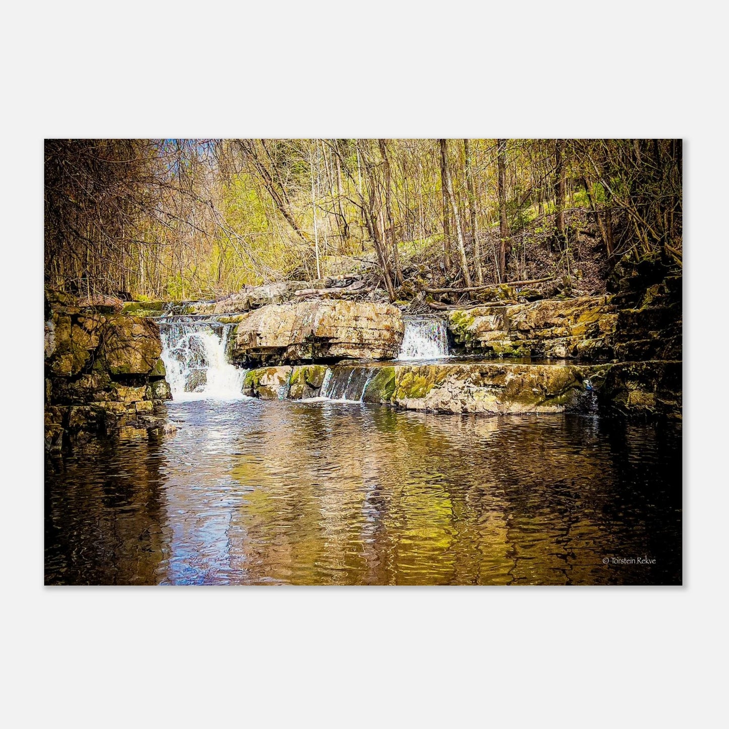 4e6f5a17-afe3-4e24-9759-1013be97a23f