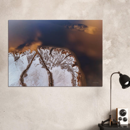 55cdbb57-8965-4414-a318-e97a928e0003