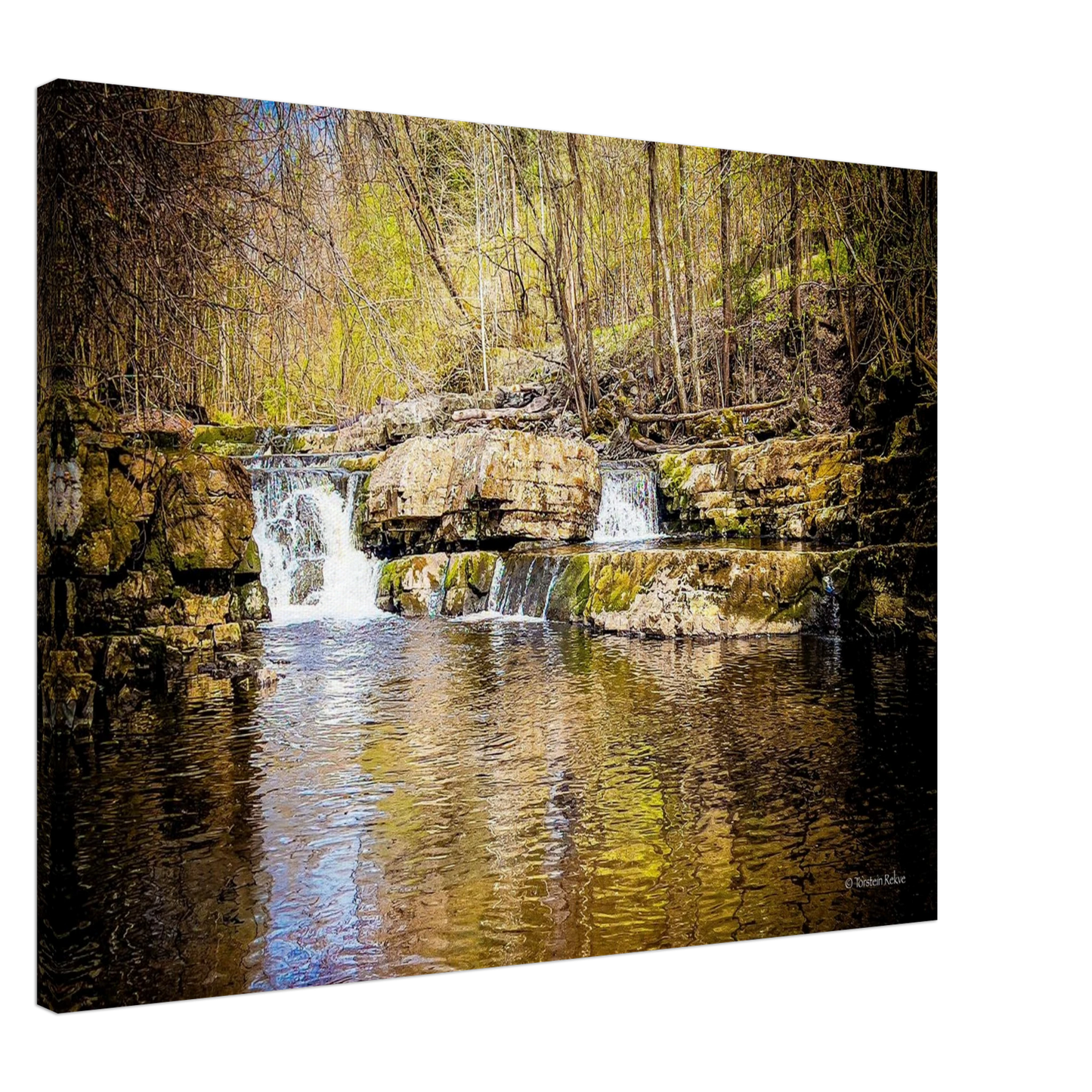 604fd8d9-ea35-4e61-9233-fc088e7451a7