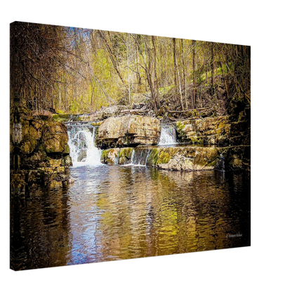 604fd8d9-ea35-4e61-9233-fc088e7451a7