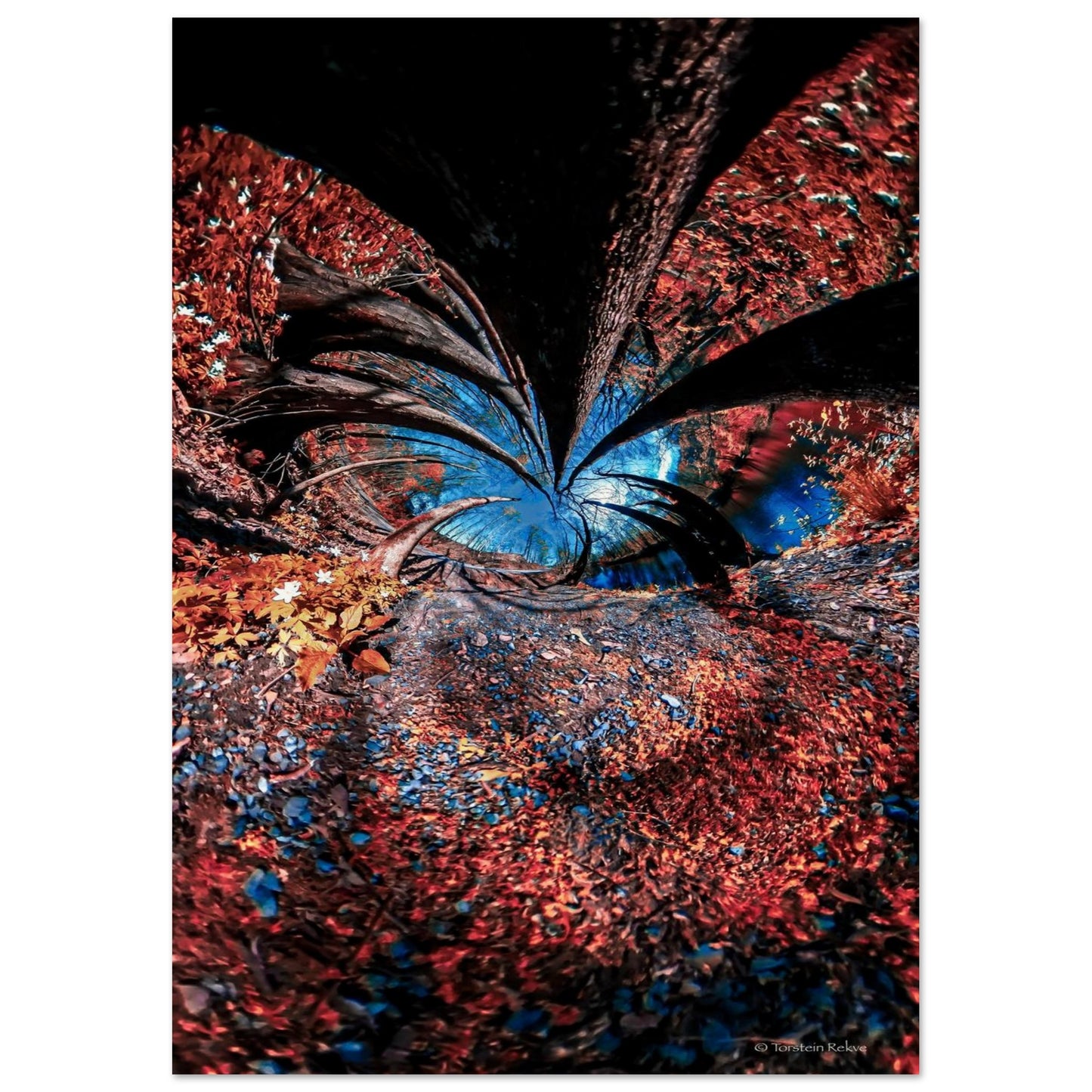 60932d7c-42d8-4c11-b2b2-3492d34f14e1