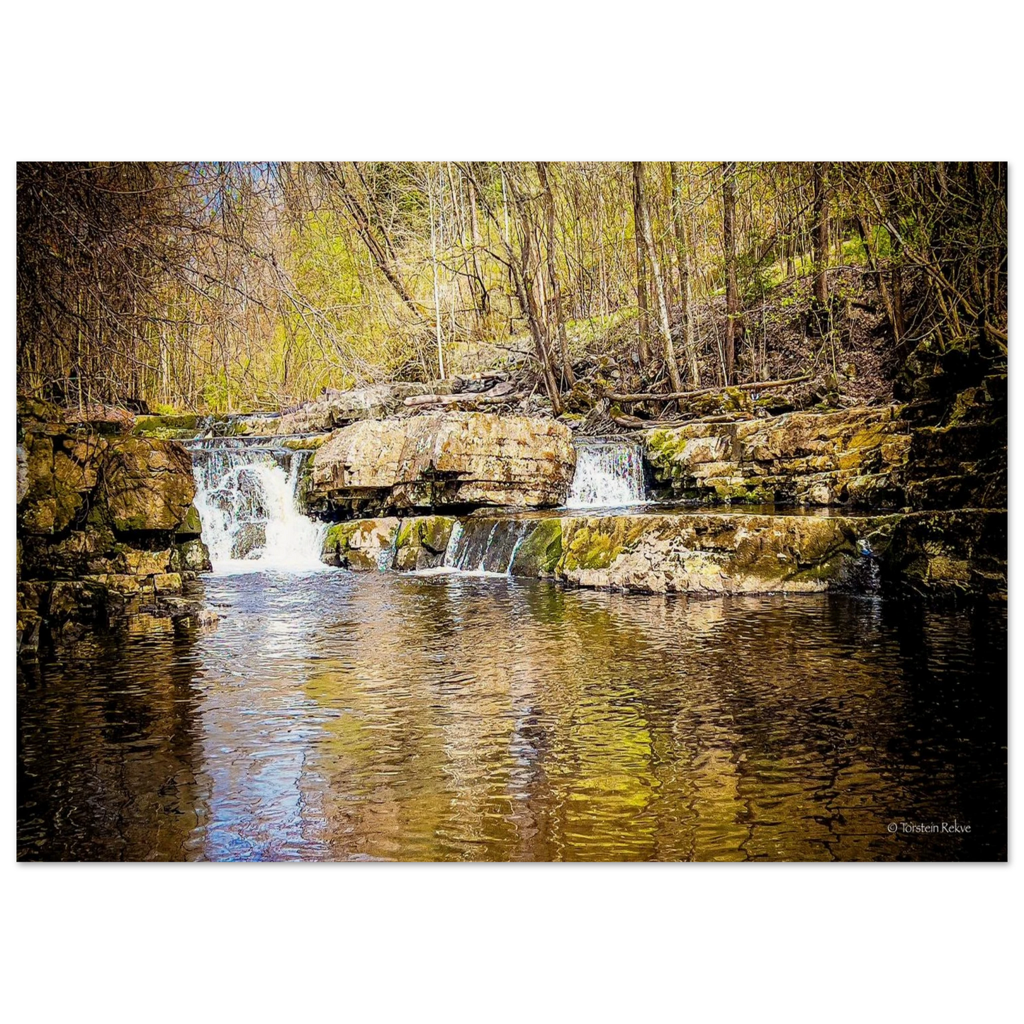 6750f375-c203-436a-b705-557895c5f7da