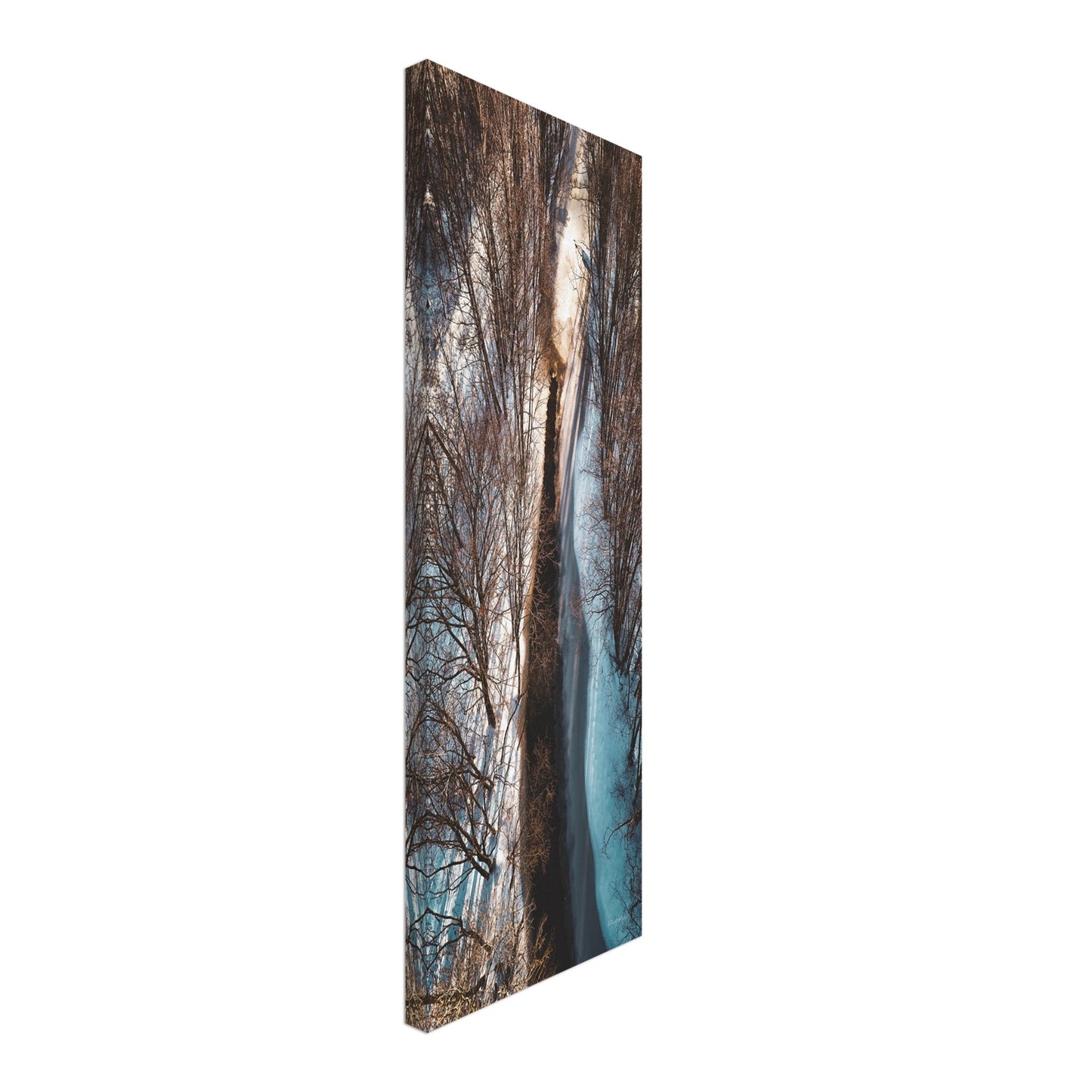 6a6fbf00-d891-4fb9-9c92-7809c889dd71