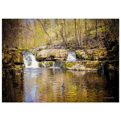 6ac919ab-ab64-44b6-af55-33eccc955dc1