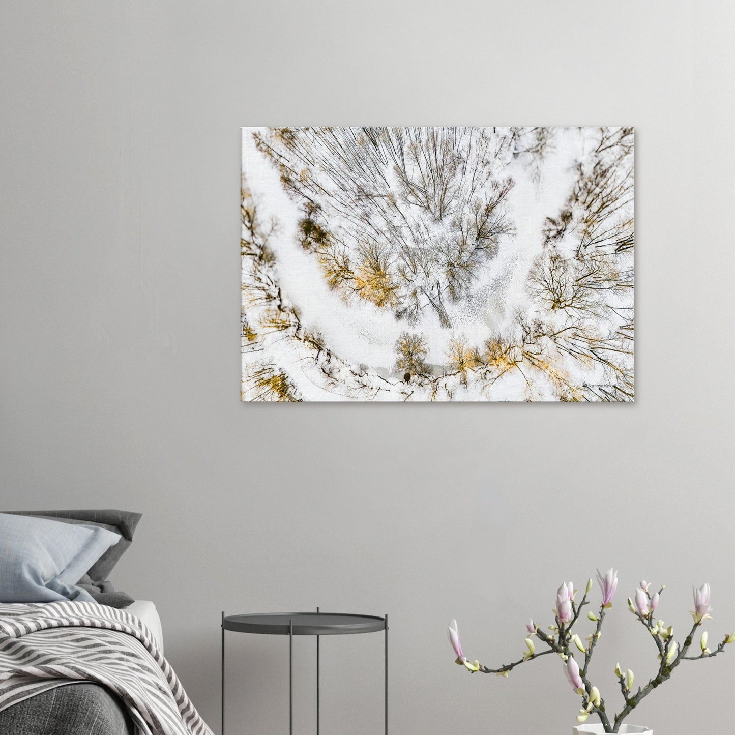 74b3bb2e-e1cf-42e4-bf63-f979c17f0aee