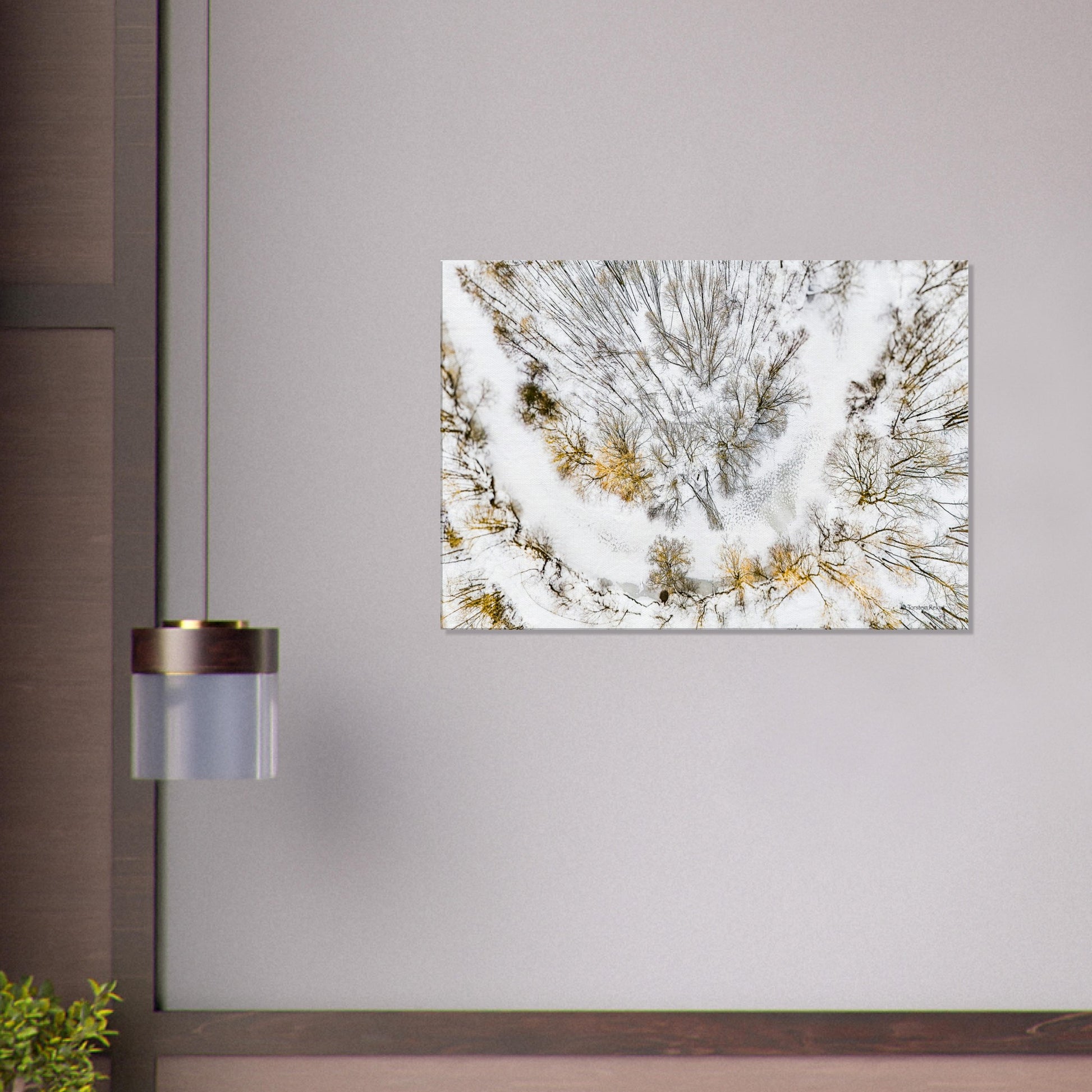 7c31a900-97ea-4d22-afa2-a85dc0d6d33b