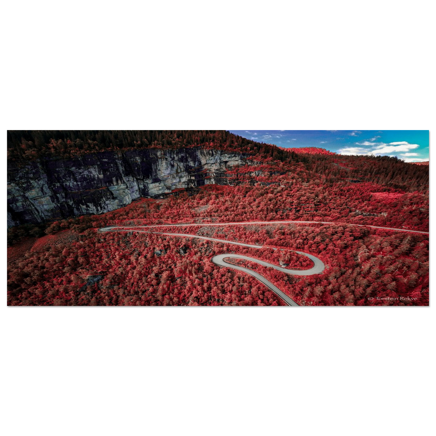 7d606a88-0ae2-491f-80a0-382e586933a4