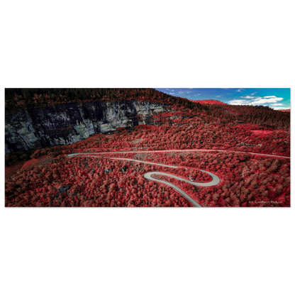 7d606a88-0ae2-491f-80a0-382e586933a4