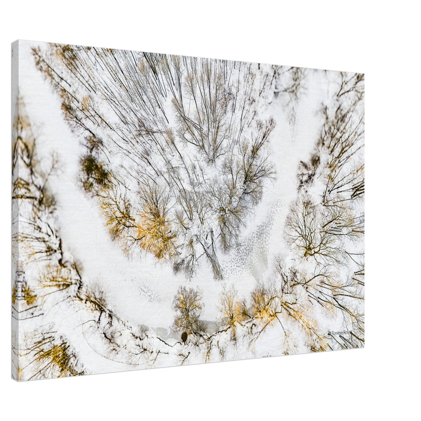 7f4b7a47-8b21-4125-a87c-9ec077e64c91