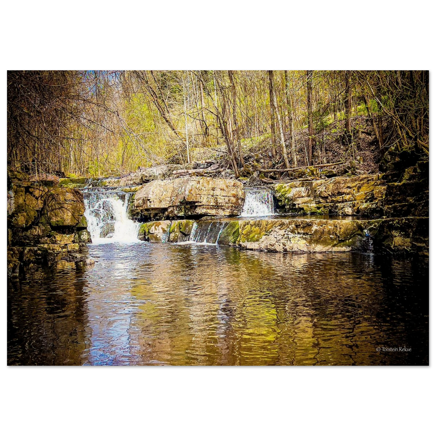 93f2ad69-dfb7-46af-8ec8-f7605044dc6d