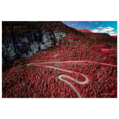 9508d42f-44cf-4ae4-bbb3-d4c30152b629