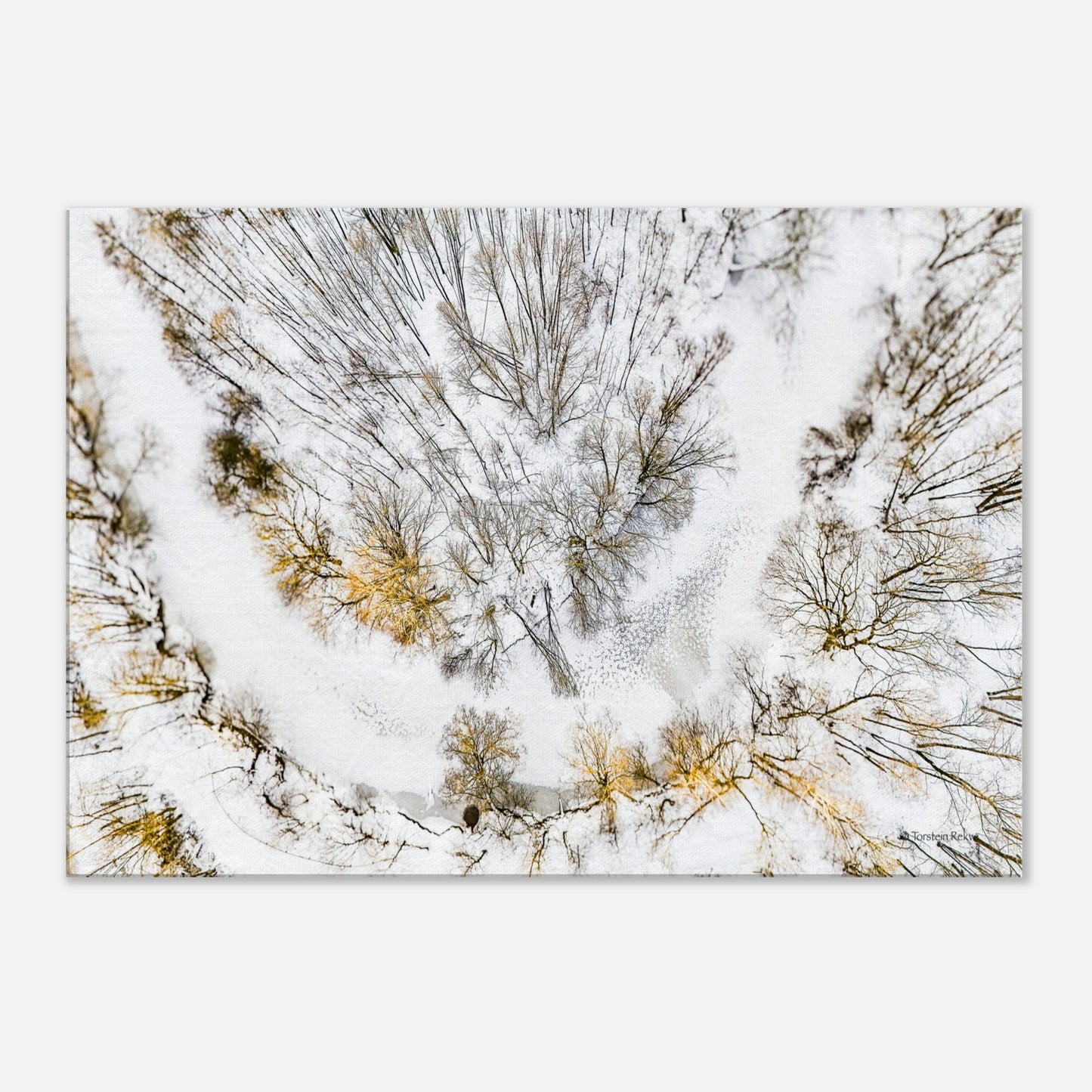 aa770111-b3d4-49ff-ae6e-5ca2593acaa0