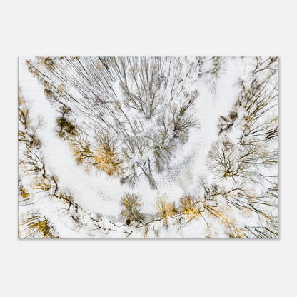 aa770111-b3d4-49ff-ae6e-5ca2593acaa0