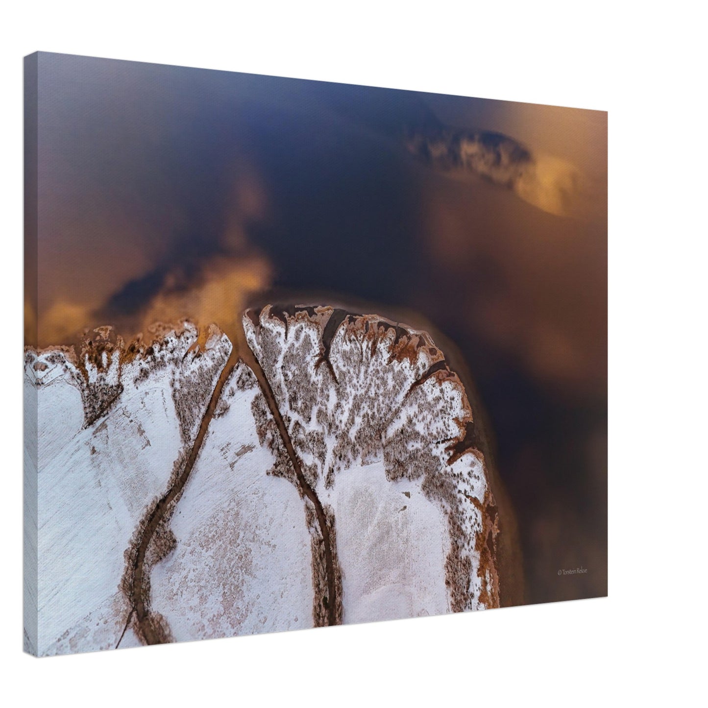 b0c9f3a3-6892-402d-b6a9-6c8b2994e098