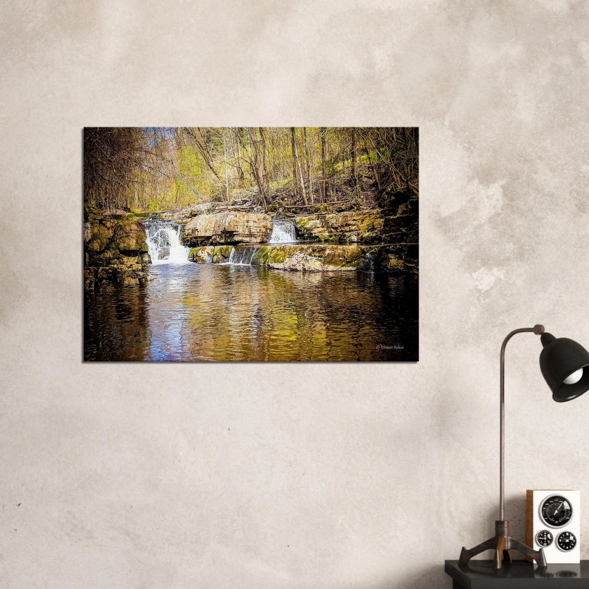 b2d42959-749d-4e42-9e71-c04de603c11f