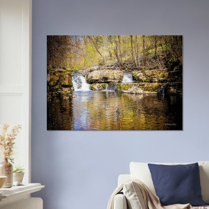 c725c9af-d11a-401f-b71e-a98769c7e6ba