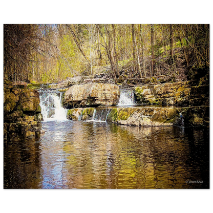 c84e8034-844f-43ff-9974-9dbb9f0e5996