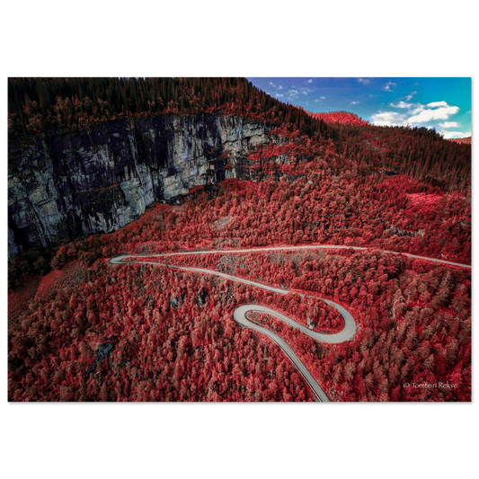 d8e13b2f-1048-439d-886e-77c73f2b09ee