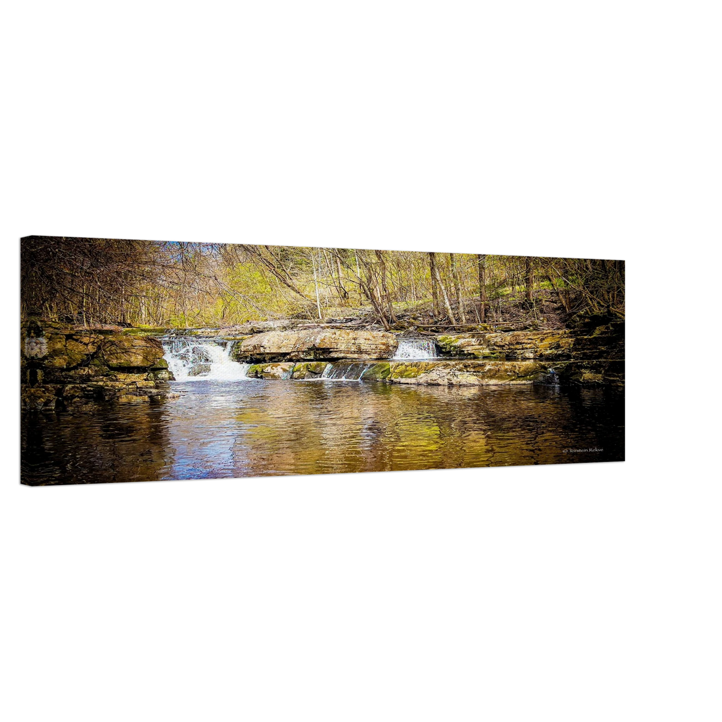 f3b9269a-283d-4b75-9ec3-2bad71f5a500