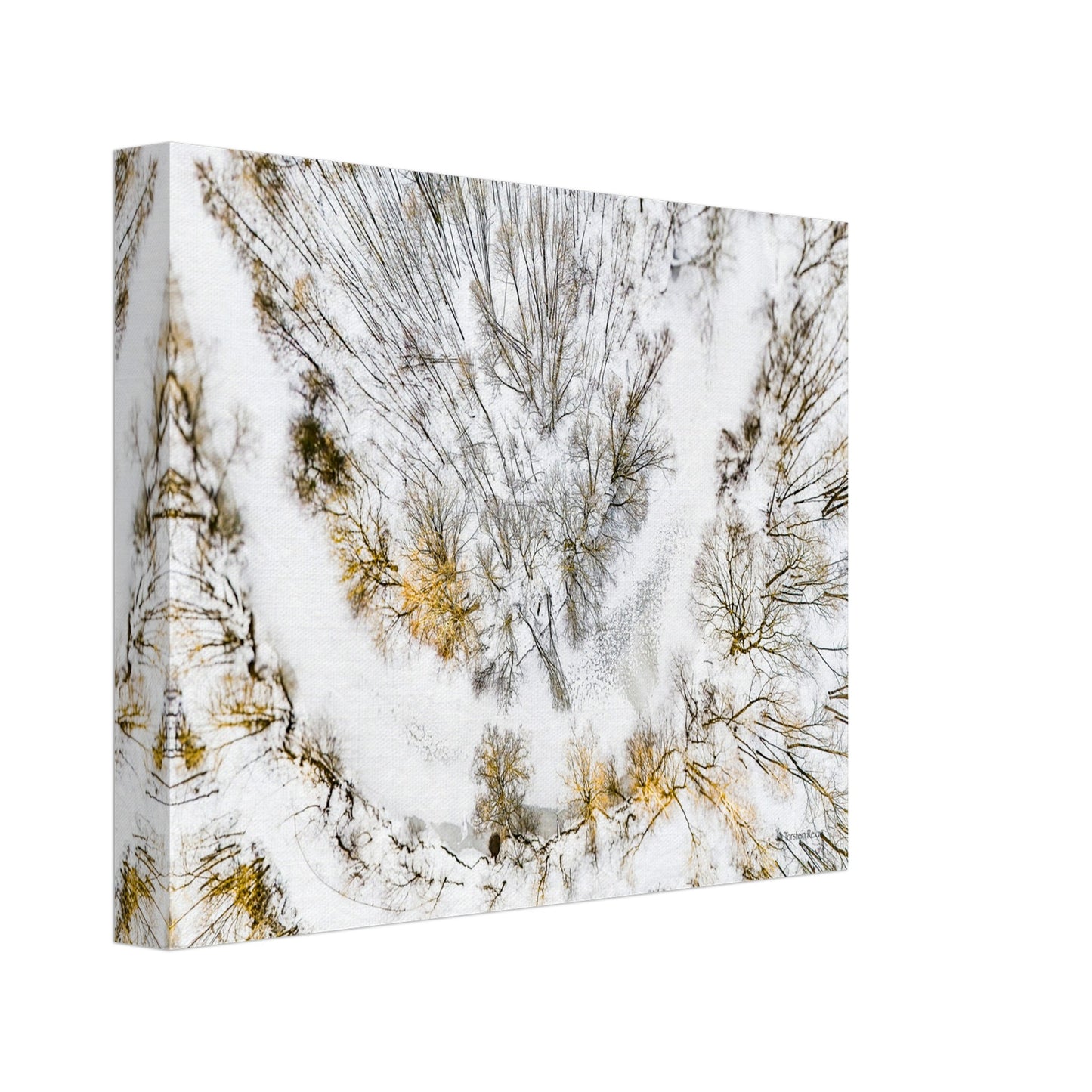 f3c92923-9326-4c3b-b1ac-cc8a1774fed2