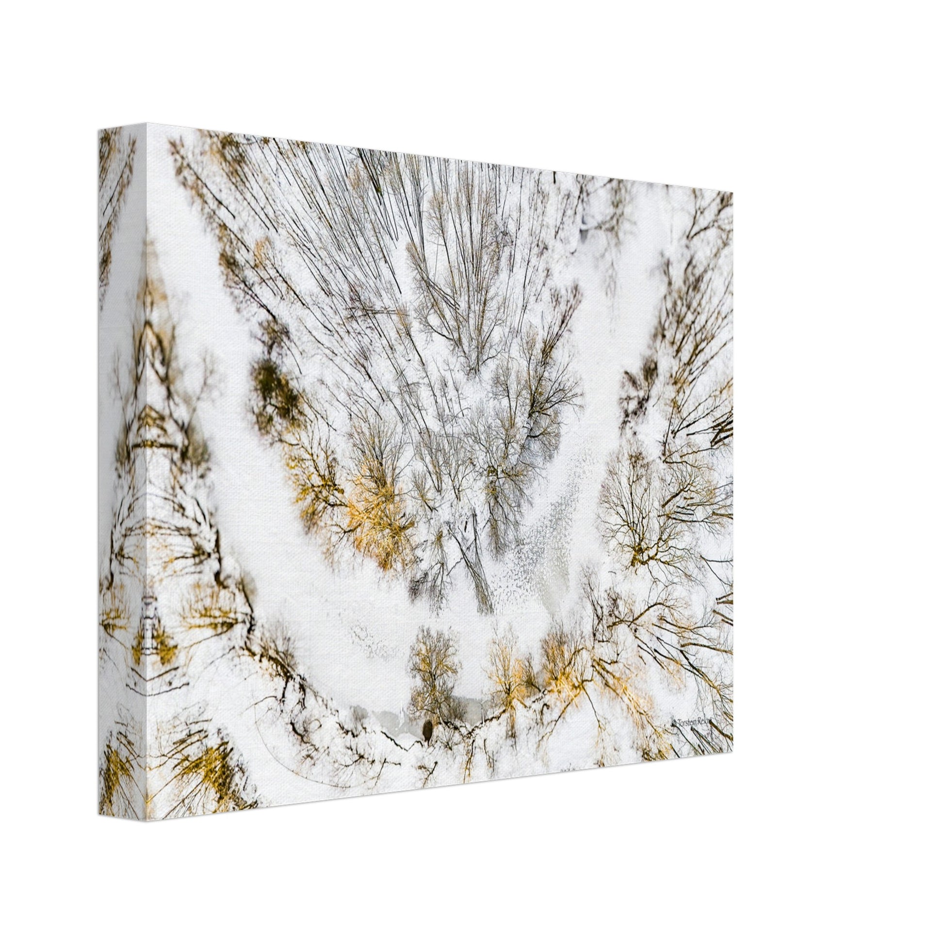 f3c92923-9326-4c3b-b1ac-cc8a1774fed2