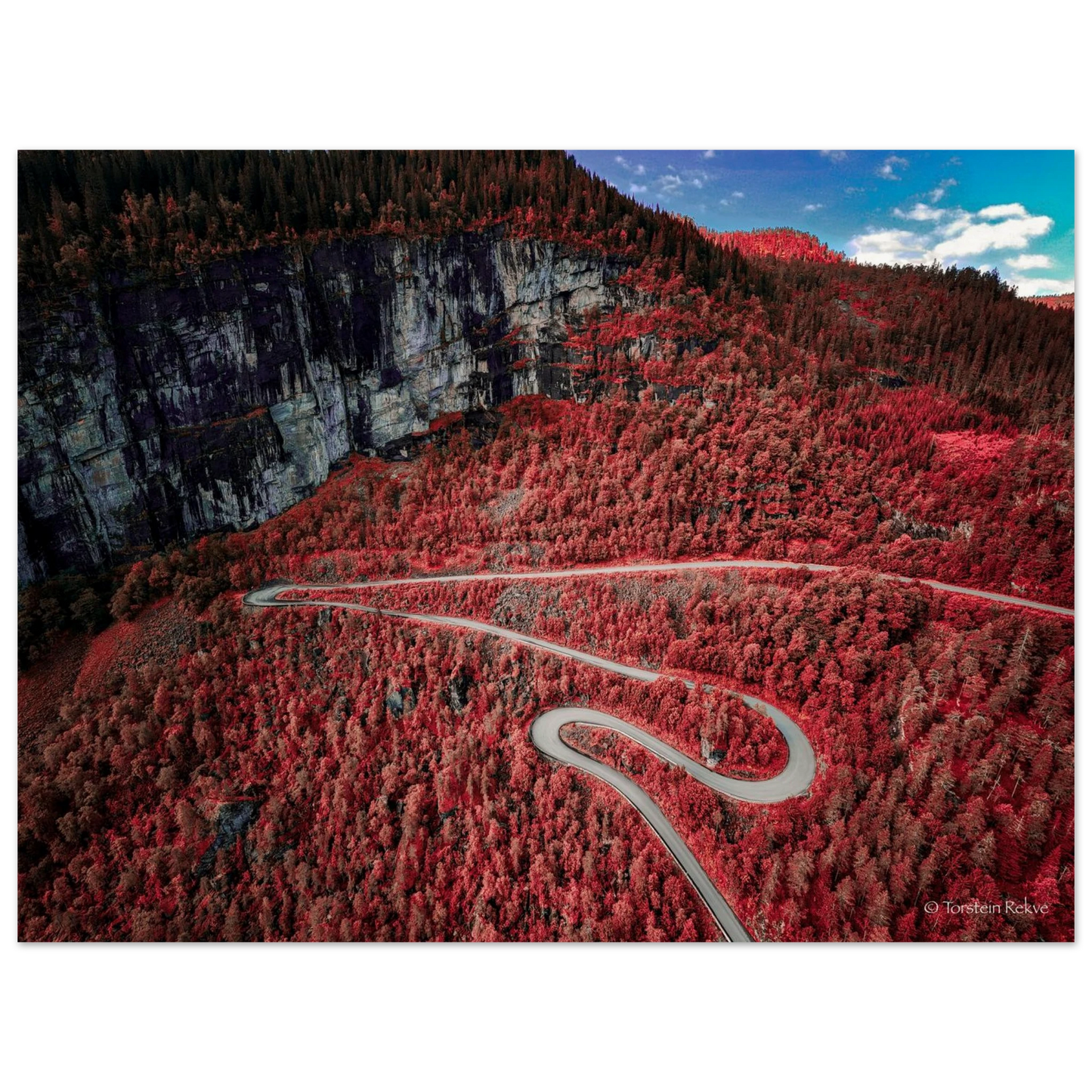 ff4b8c5d-2998-43c8-a00c-a31419217704