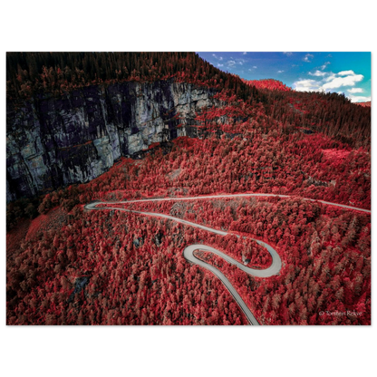 ff4b8c5d-2998-43c8-a00c-a31419217704