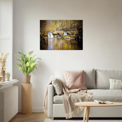 fff2b860-92c8-41c7-b6f5-2029a79fc8c0